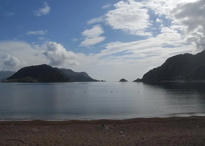 Sea Star - Adult Only